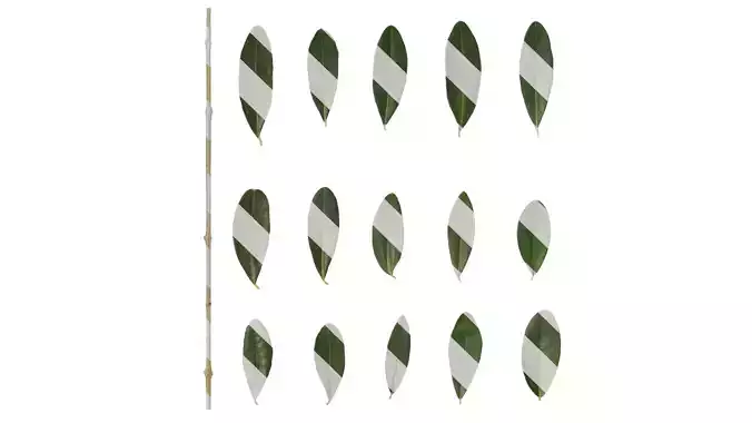 Anydrafts Olea europaea Leaf 07 F