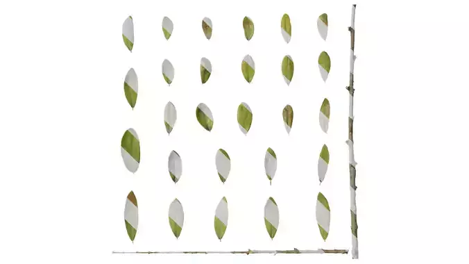 Anydrafts Olea europaea Leaf 08