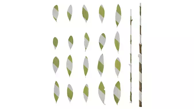 Anydrafts Olea europaea Leaf 09 B