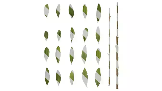 Anydrafts Olea europaea Leaf 09 F