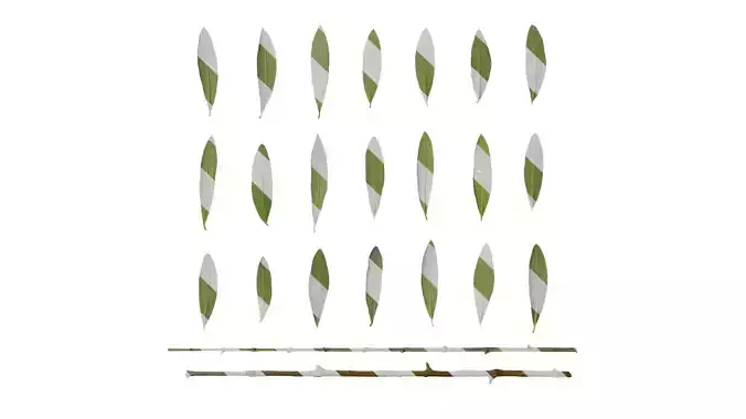 Anydrafts Olea europaea Leaf 10 B