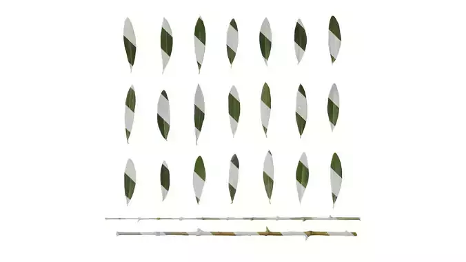 Anydrafts Olea europaea Leaf 10 F