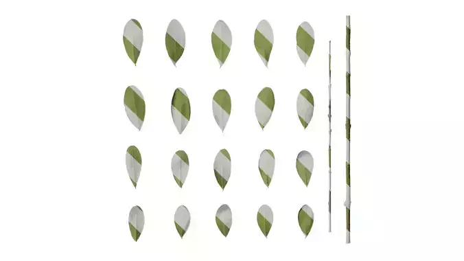 Anydrafts Olea europaea Leaf 12 B