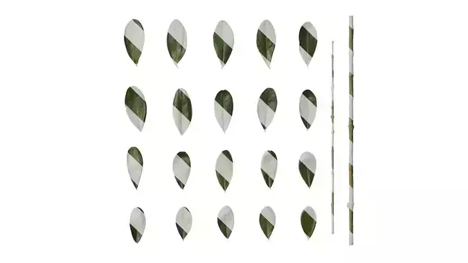 Anydrafts Olea europaea Leaf 12 F