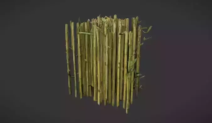 Bamboo