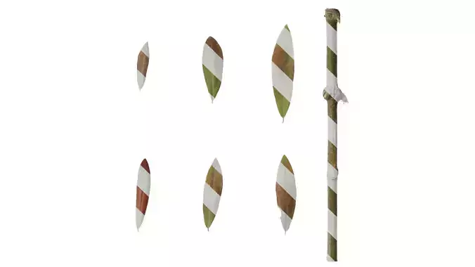 Anydrafts Olea europaea Leaf 17