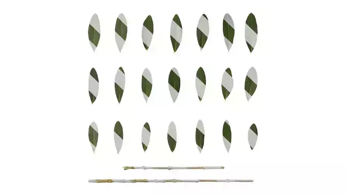 Anydrafts Olea europaea Leaf 18 F