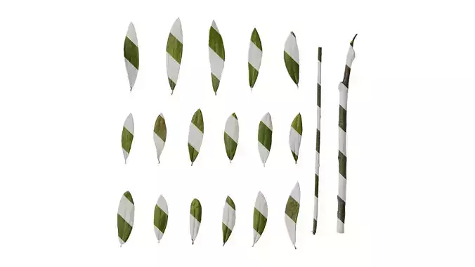 Anydrafts Olea europaea Leaf 23 F