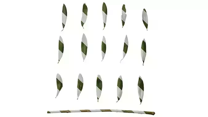 Anydrafts Olea europaea Leaf 26 F