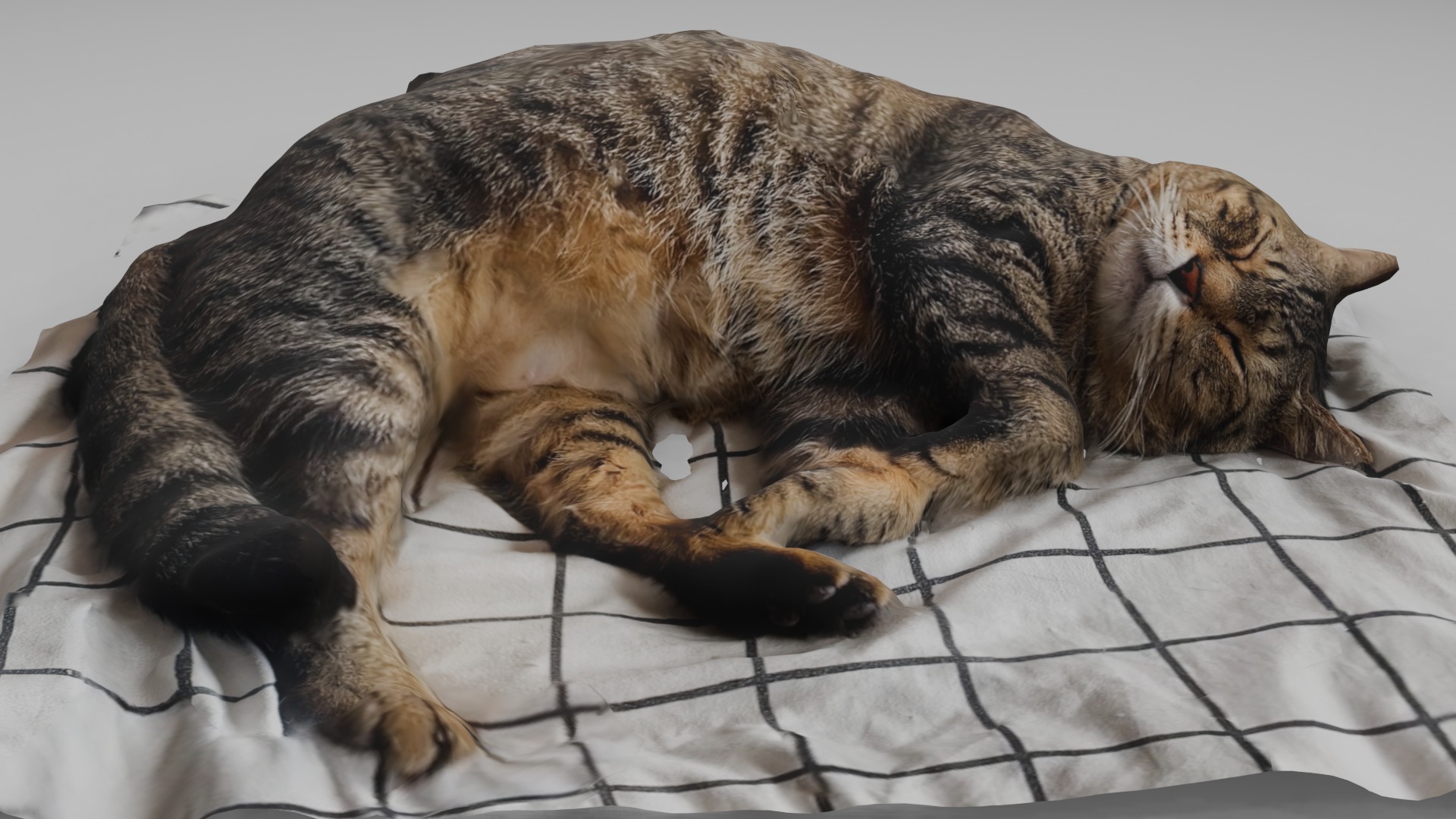 sleeping Cat Low-poly 3D model_5