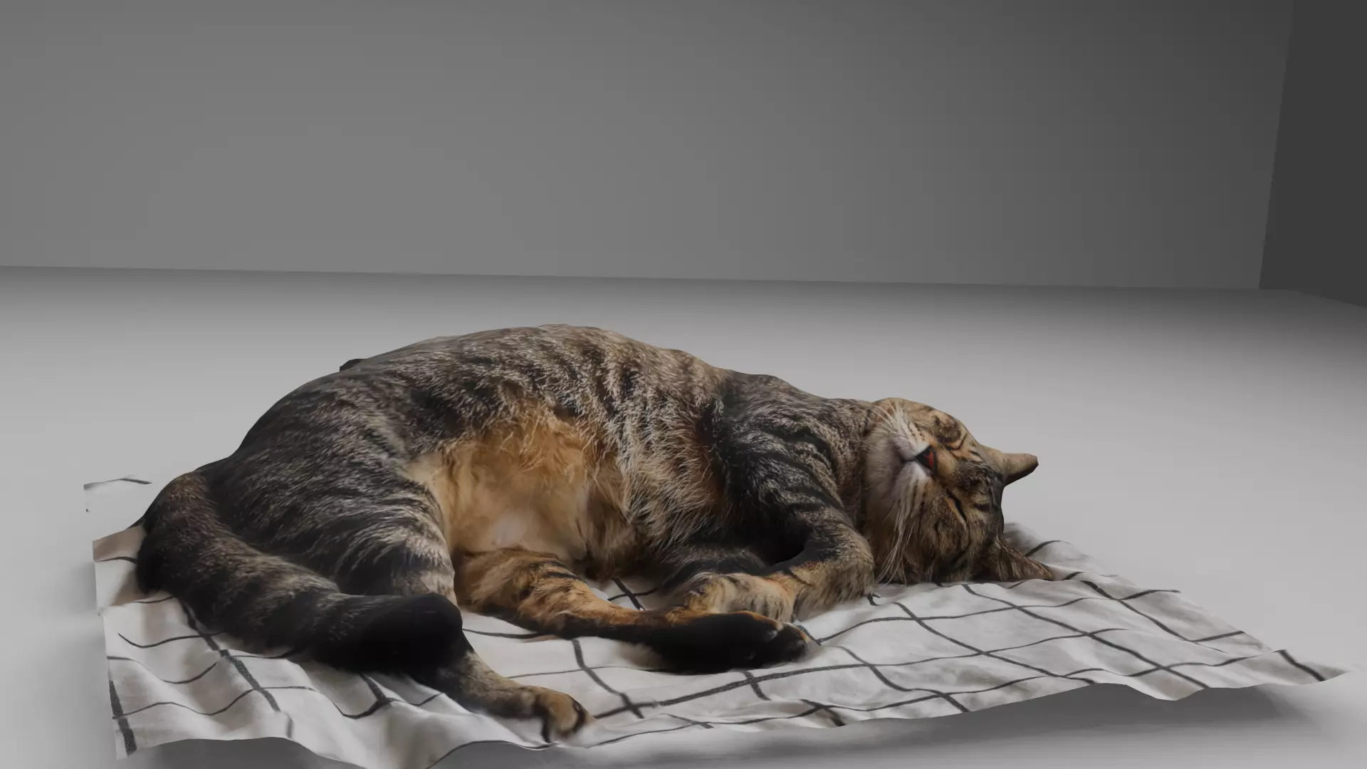 sleeping Cat Low-poly 3D model_0