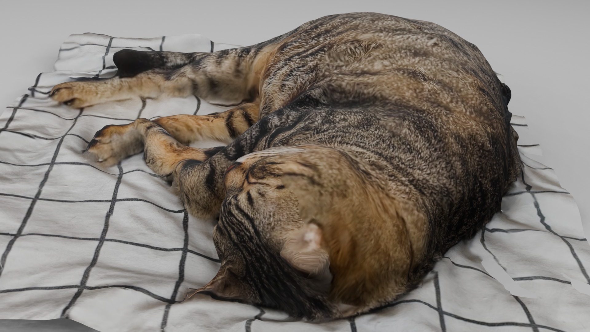 sleeping Cat Low-poly 3D model_4