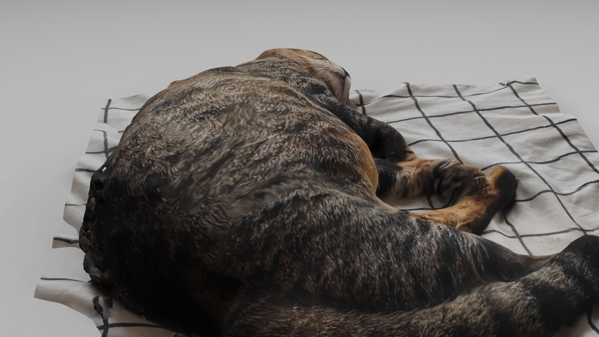 sleeping Cat Low-poly 3D model_2