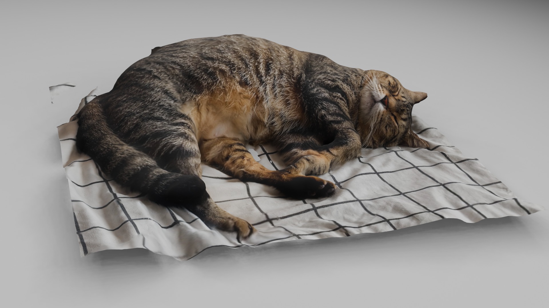 sleeping Cat Low-poly 3D model_1