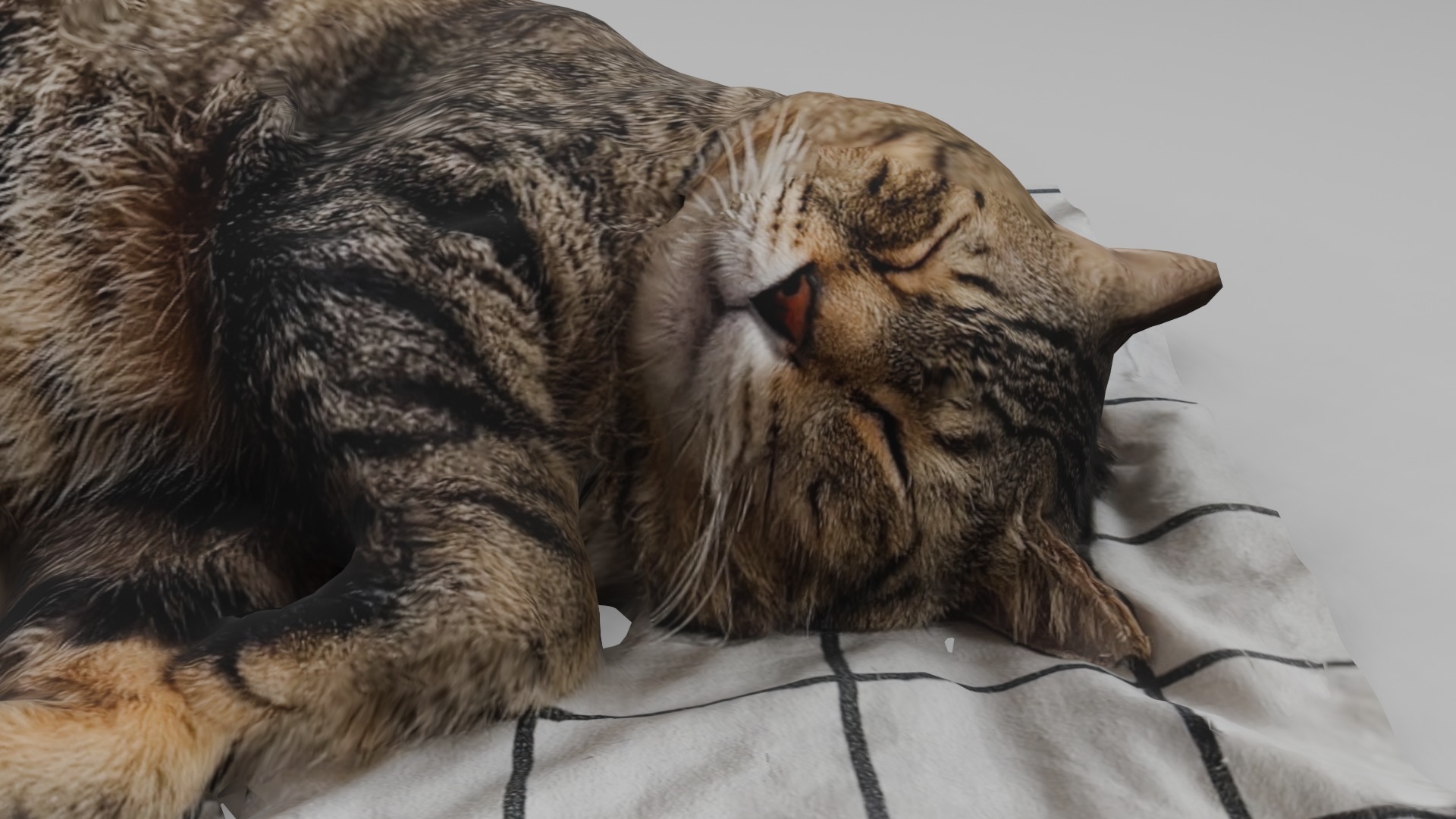 sleeping Cat Low-poly 3D model_6