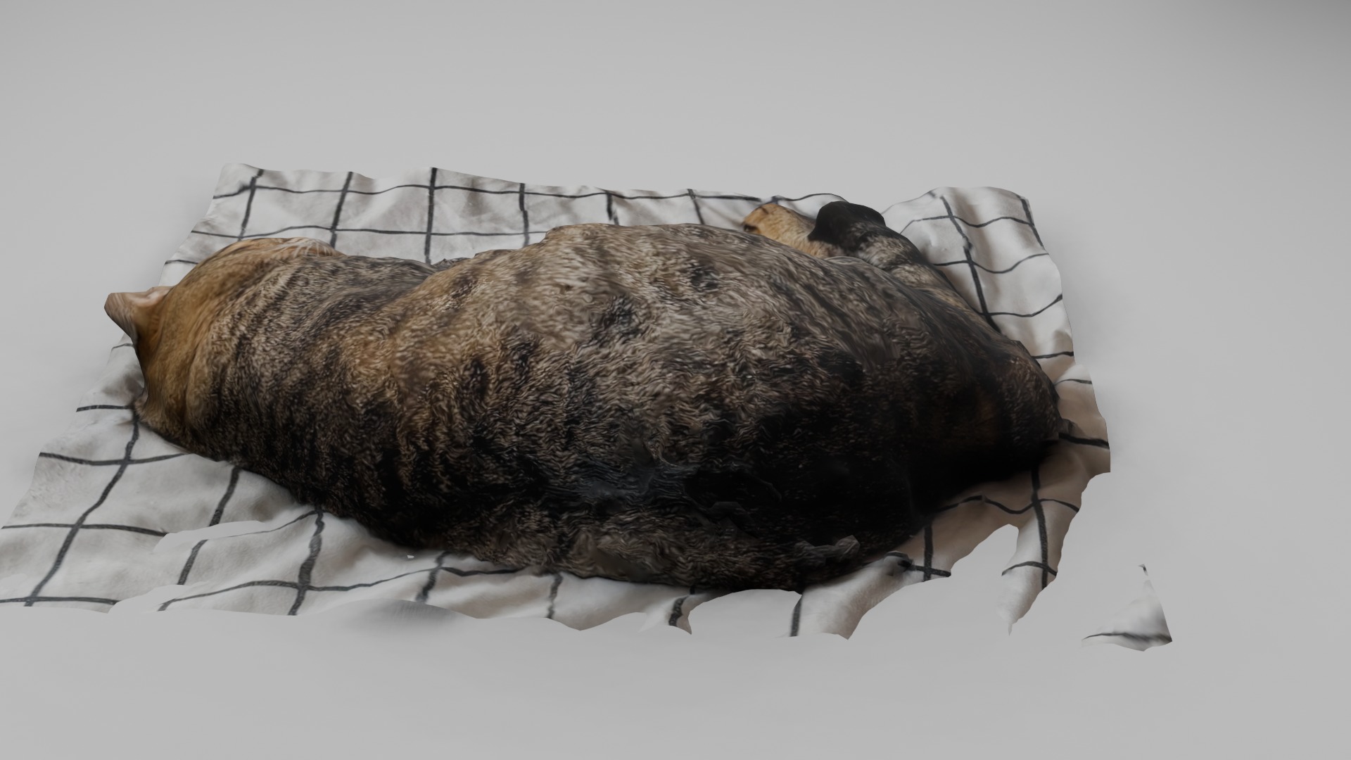 sleeping Cat Low-poly 3D model_3