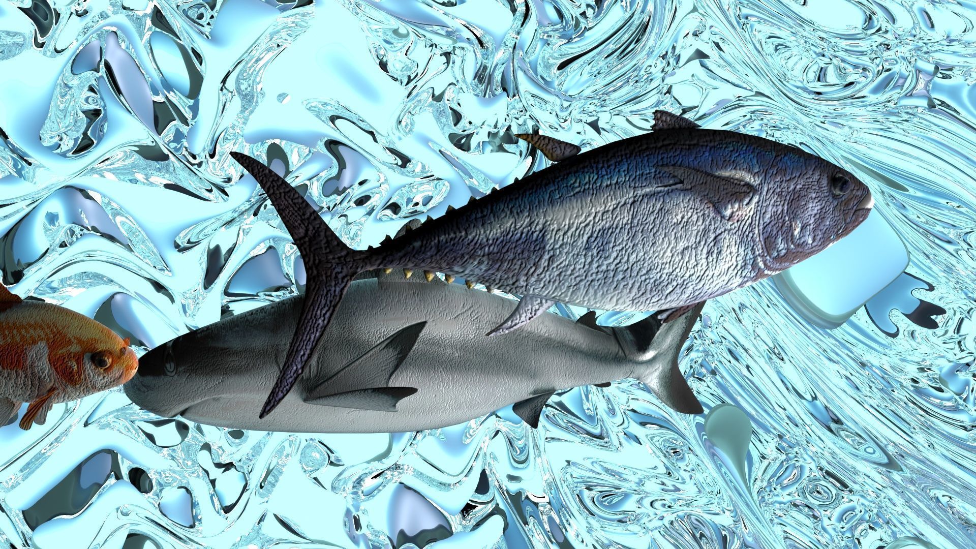 Water Animals In Water 3D model_6