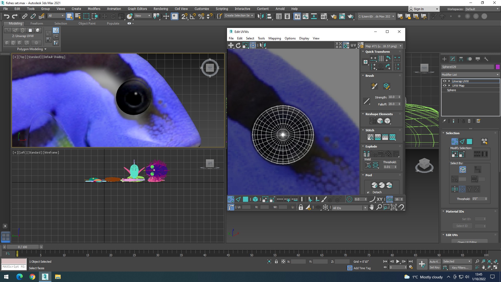 Water Animals In Water 3D model_54