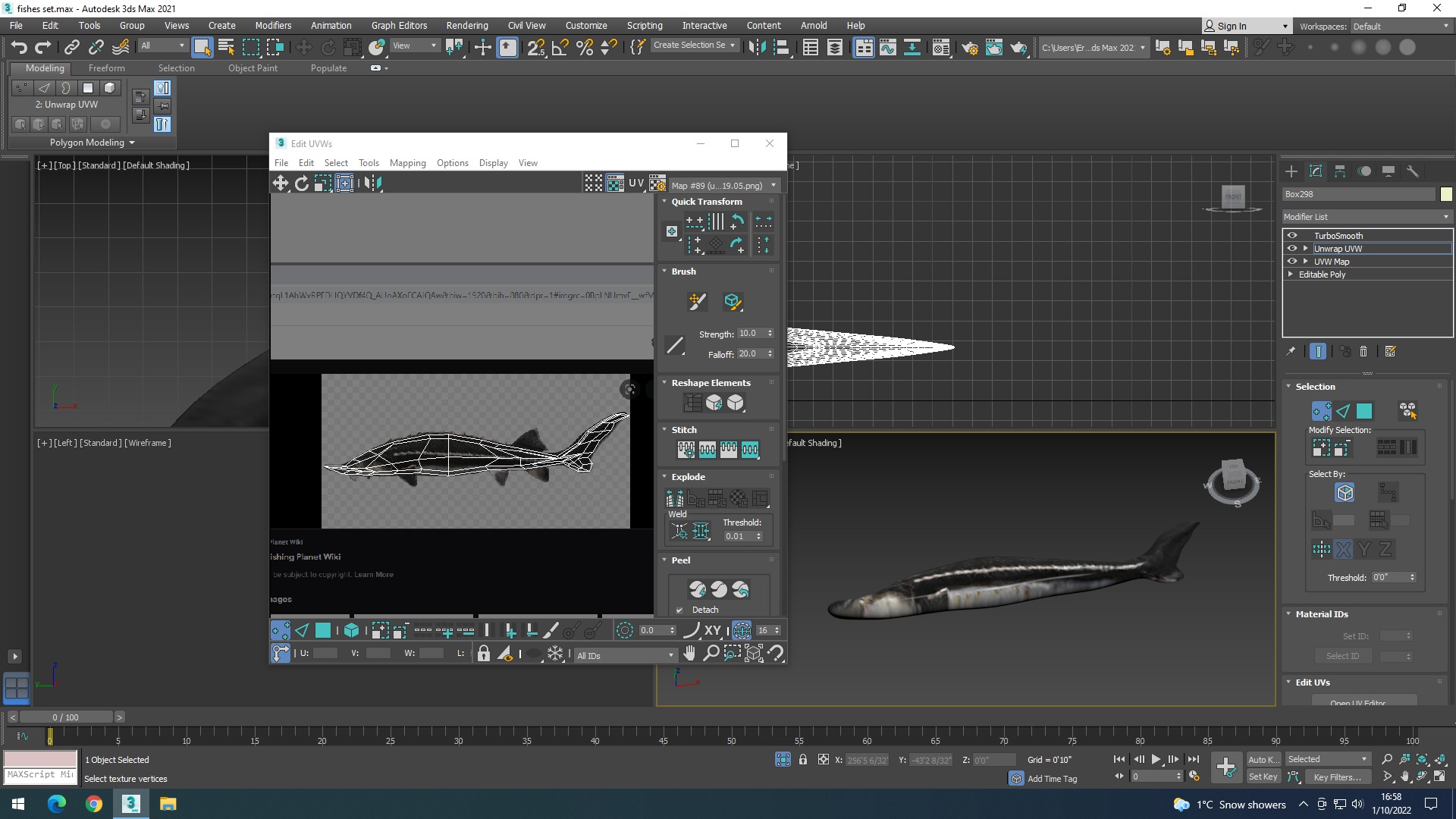 Water Animals In Water 3D model_67