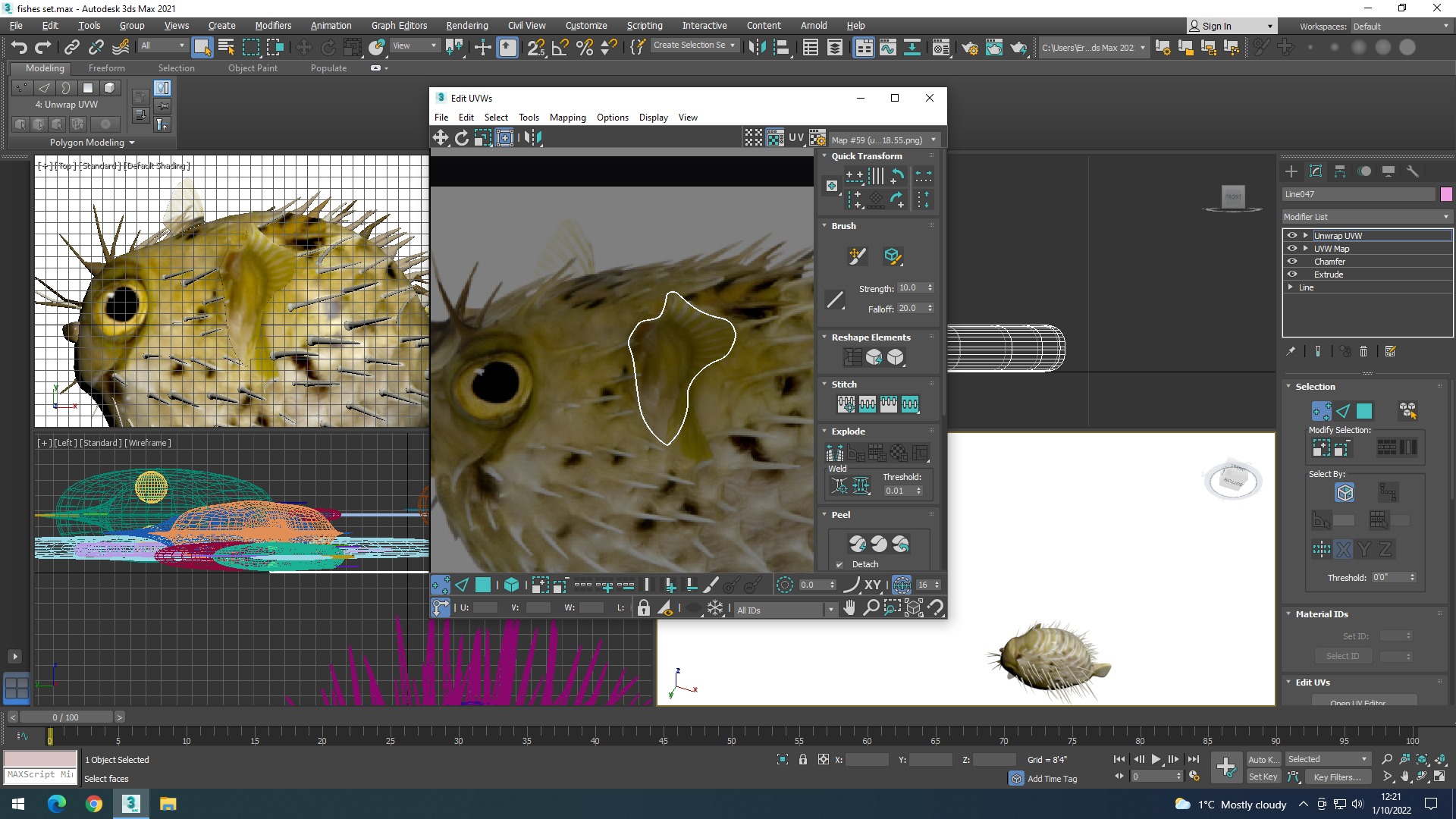 Water Animals In Water 3D model_40