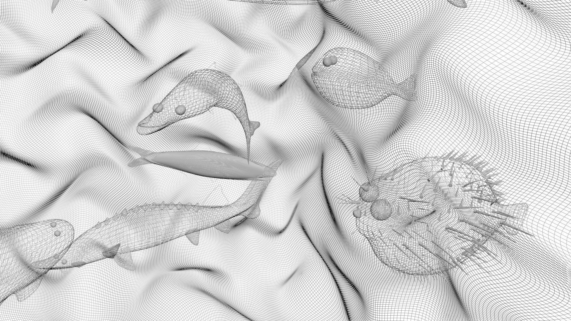 Water Animals In Water 3D model_15