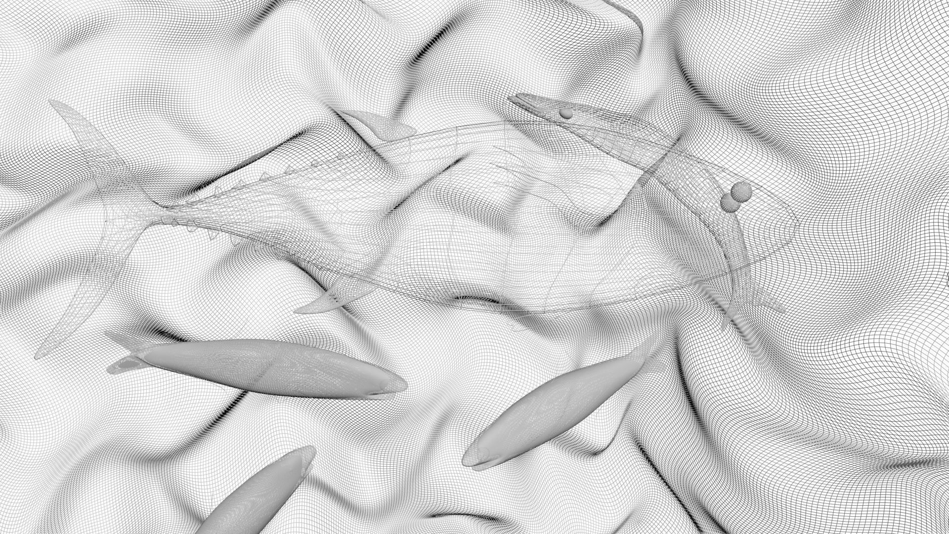 Water Animals In Water 3D model_12