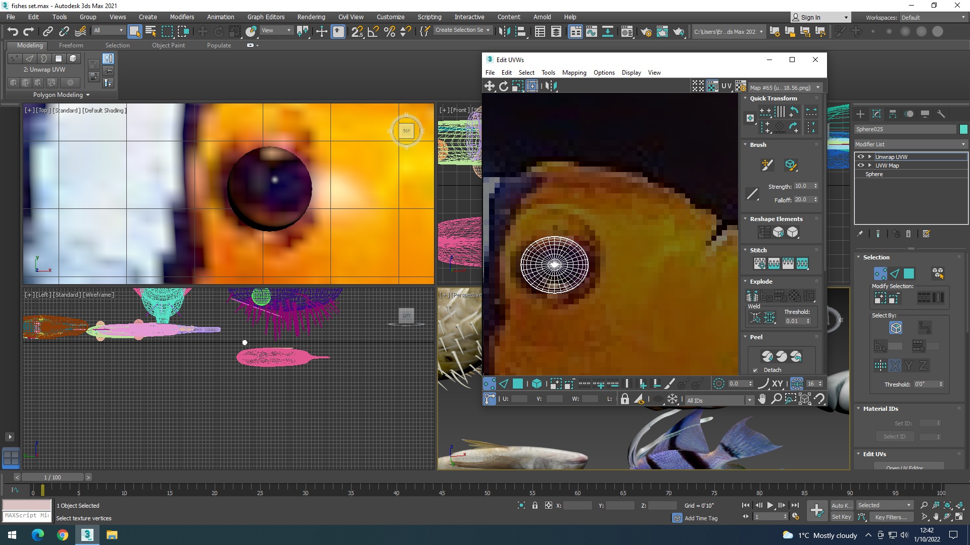 Water Animals In Water 3D model_42