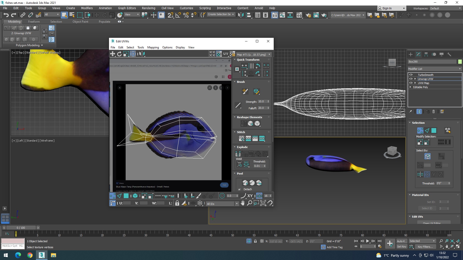 Water Animals In Water 3D model_52