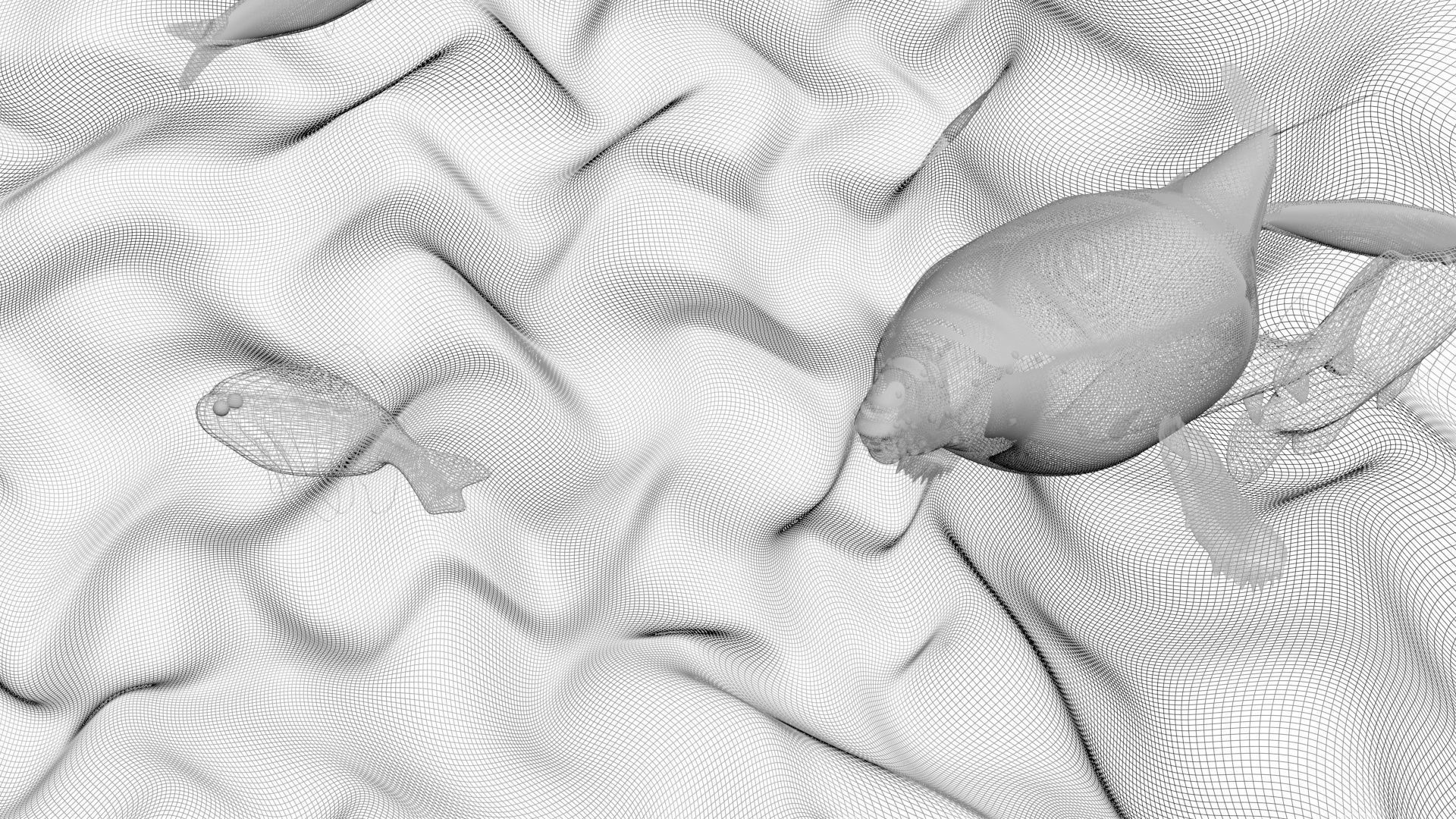 Water Animals In Water 3D model_18