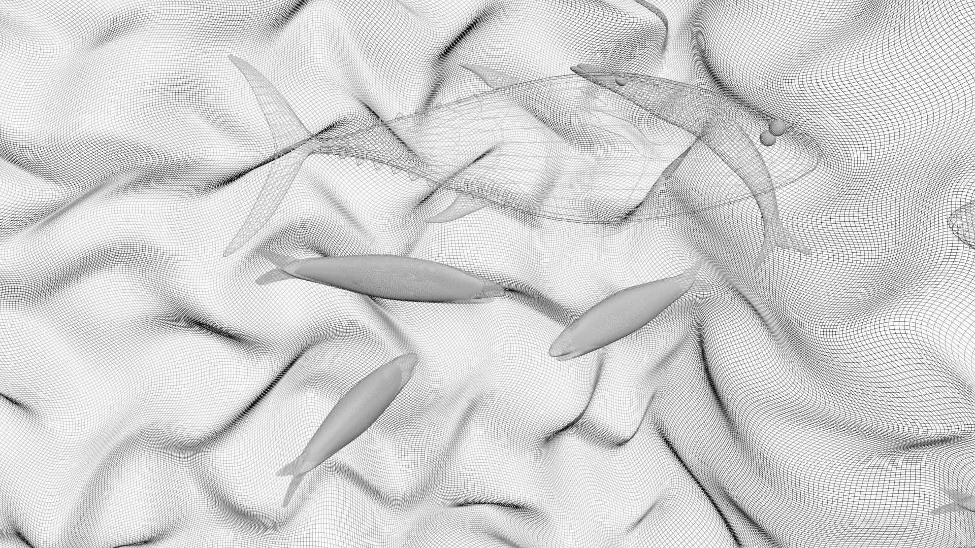 Water Animals In Water 3D model_17