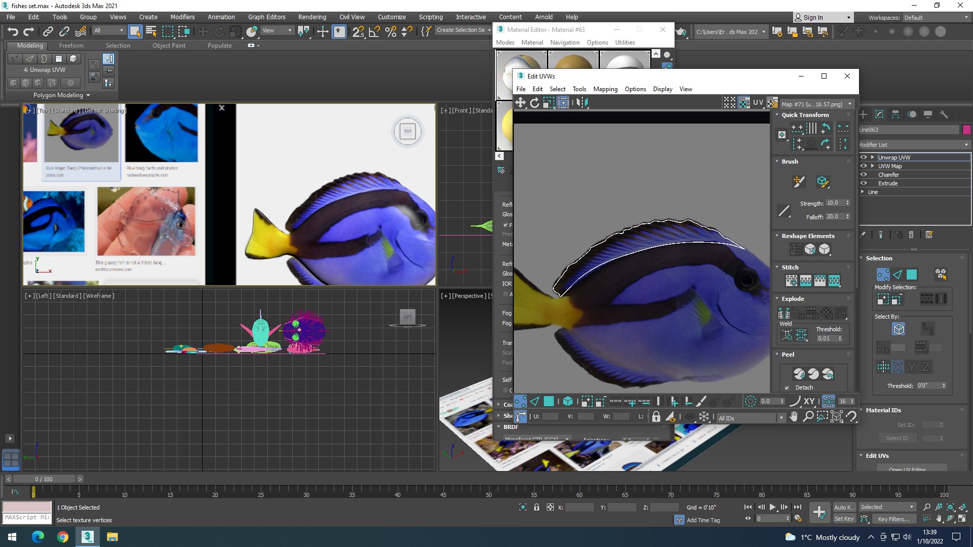 Water Animals In Water 3D model_57