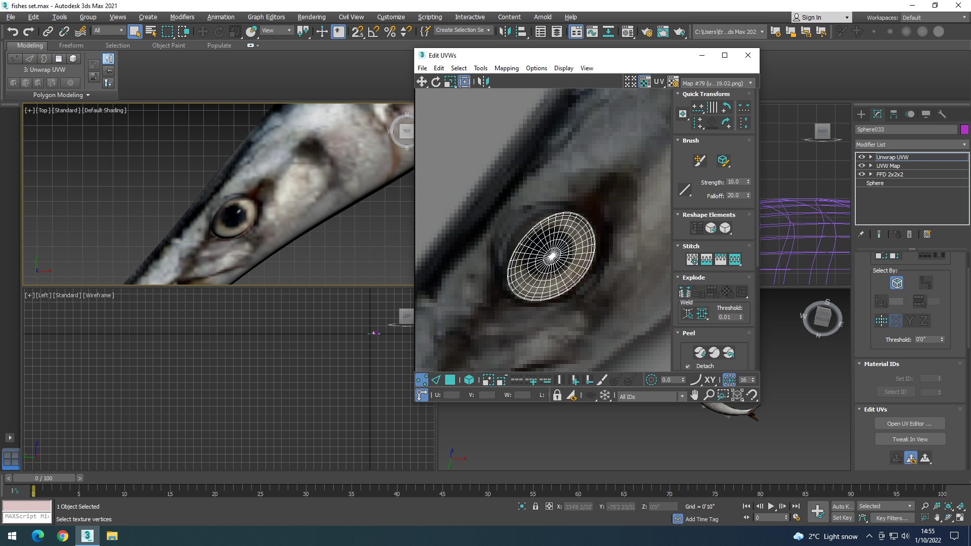 Water Animals In Water 3D model_30