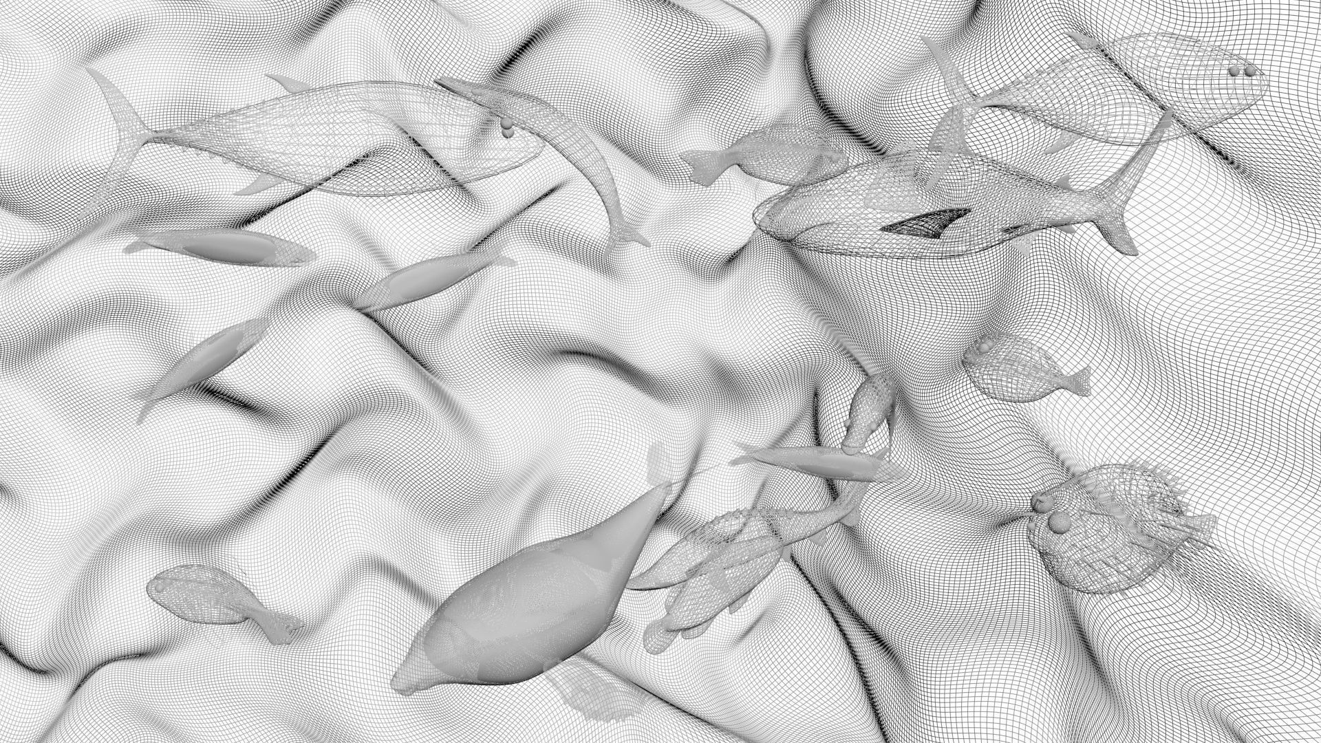 Water Animals In Water 3D model_11