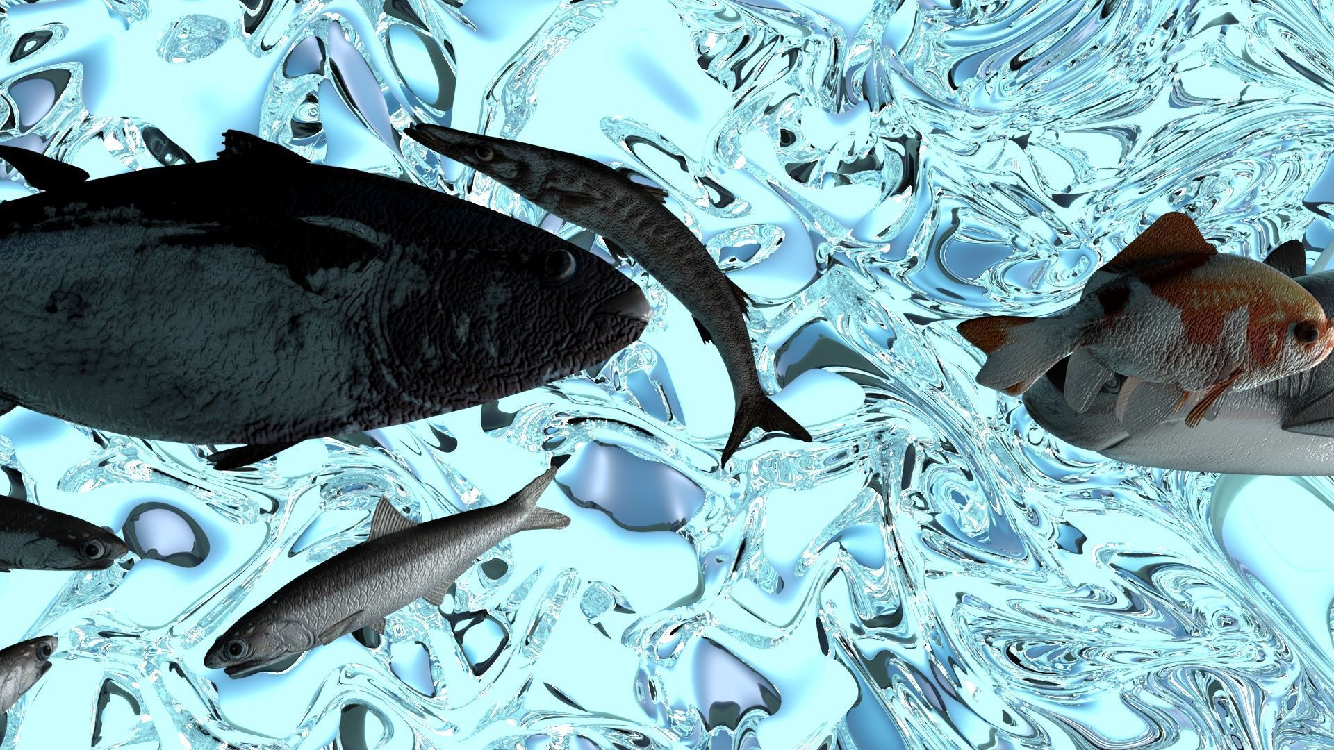 Water Animals In Water 3D model_8