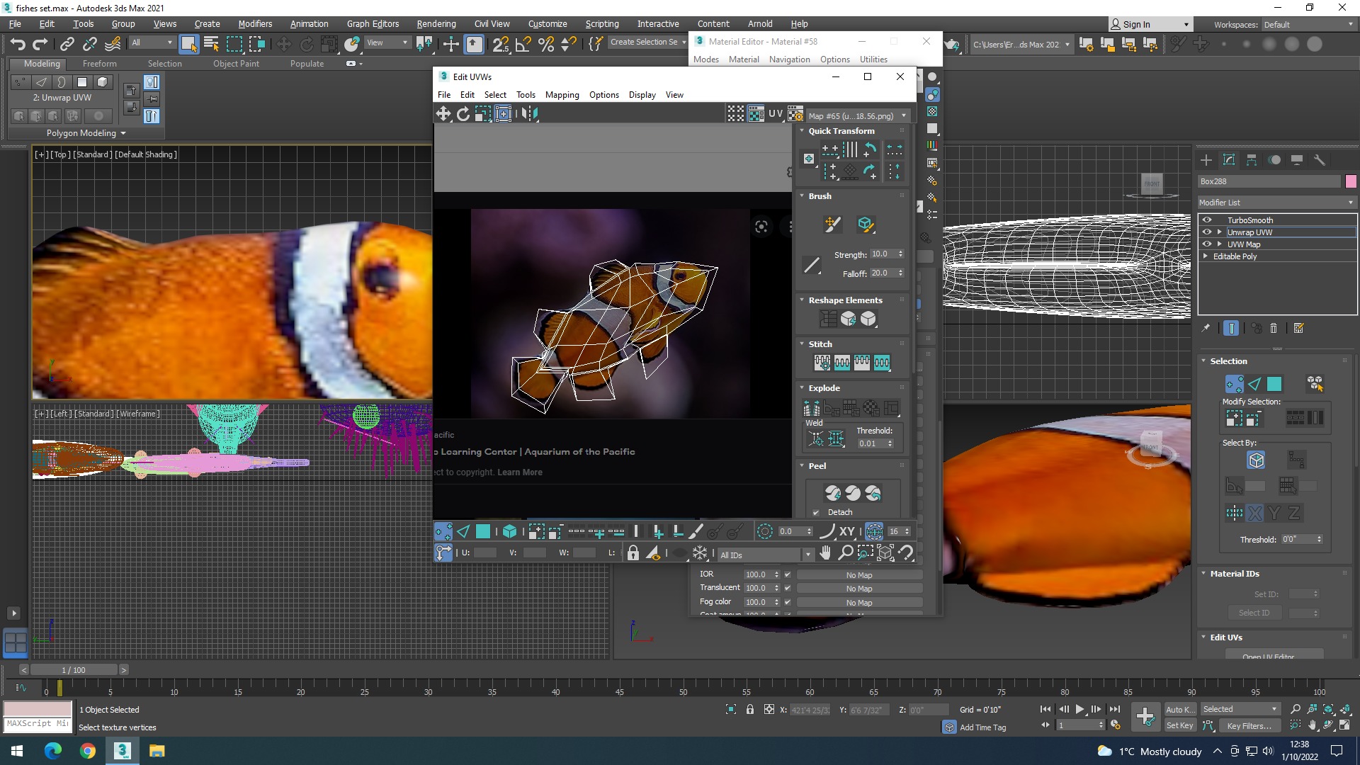 Water Animals In Water 3D model_53