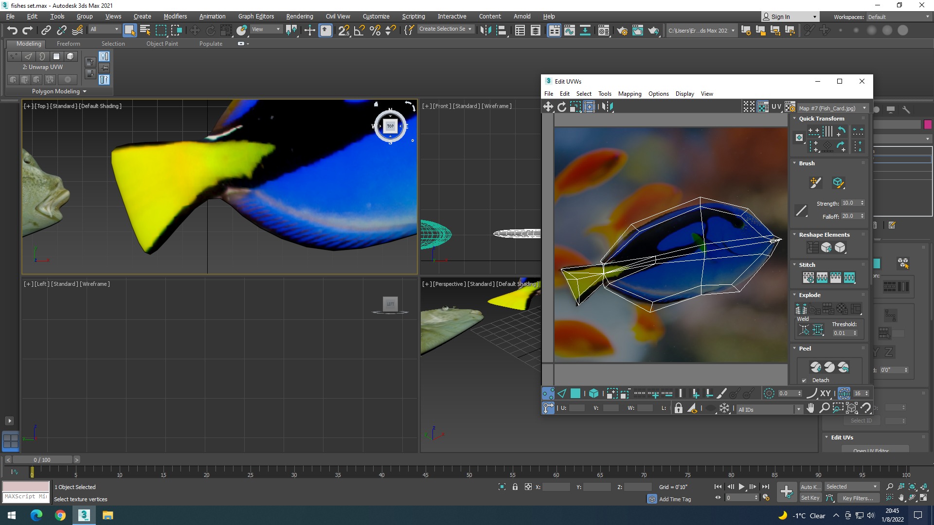 Water Animals In Water 3D model_22