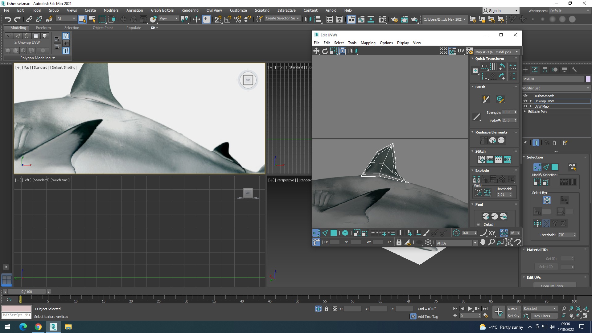 Water Animals In Water 3D model_34