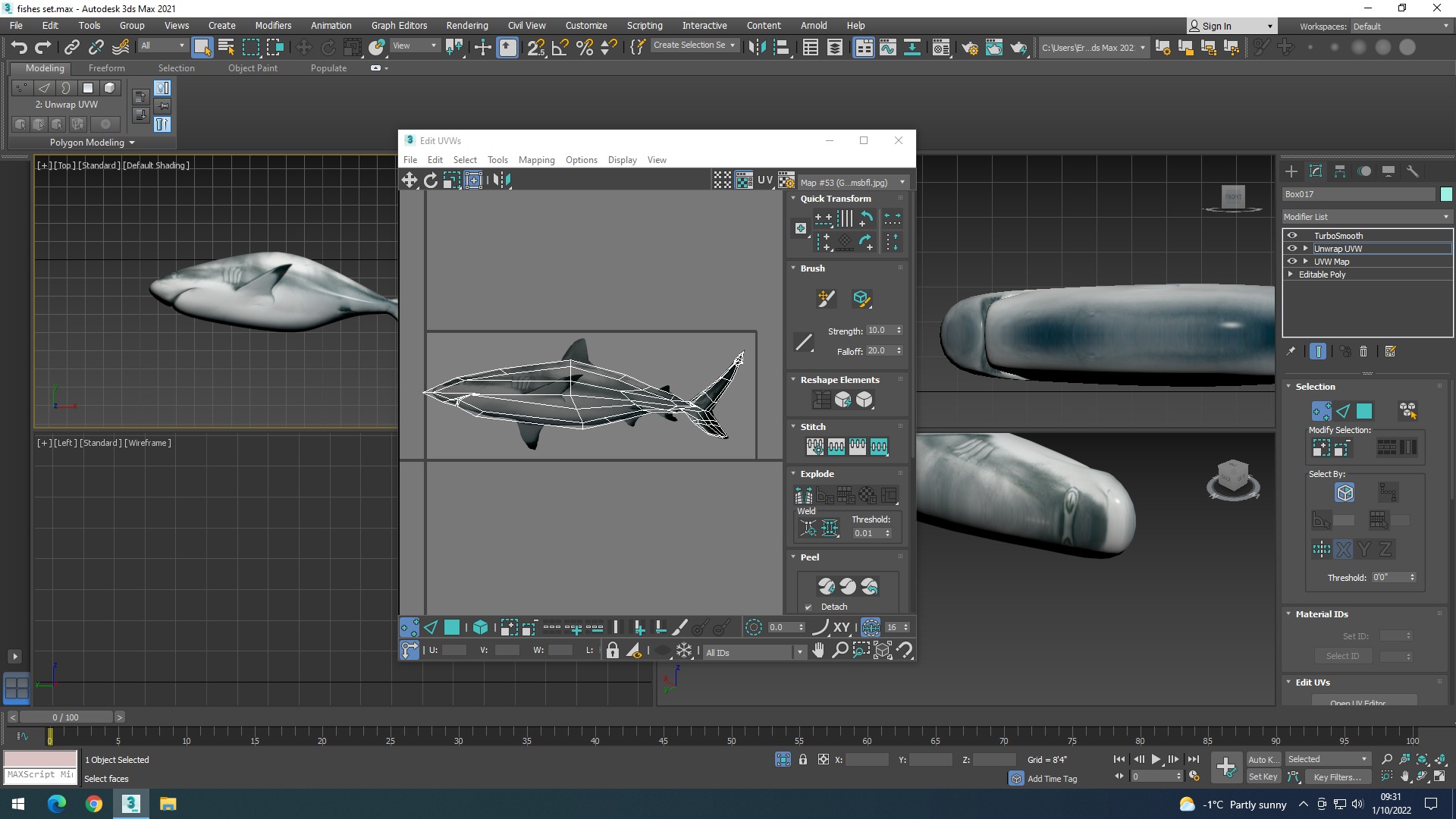 Water Animals In Water 3D model_31
