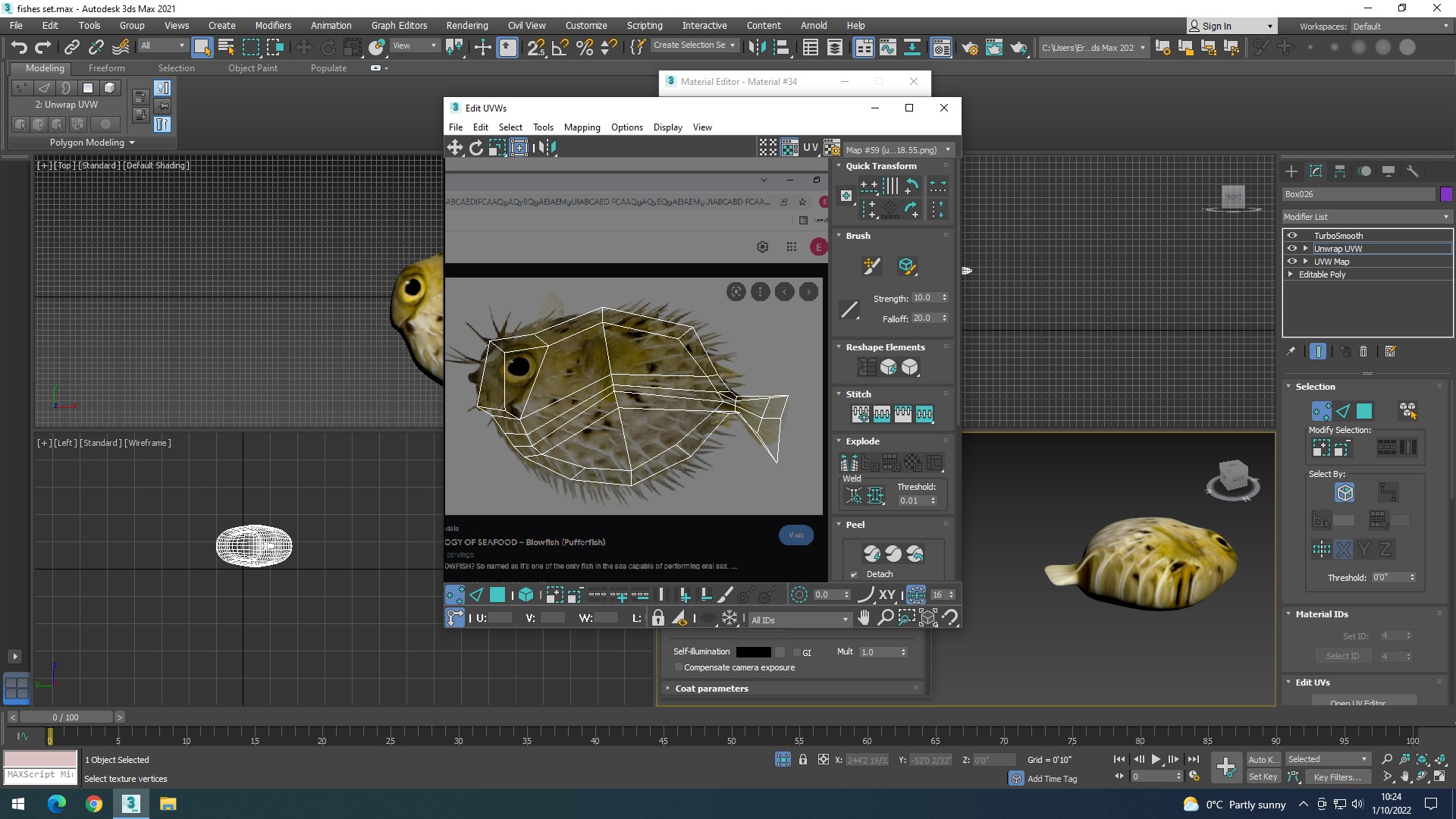 Water Animals In Water 3D model_33