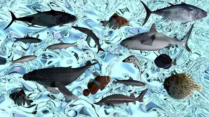 Water Animals In Water 3D model