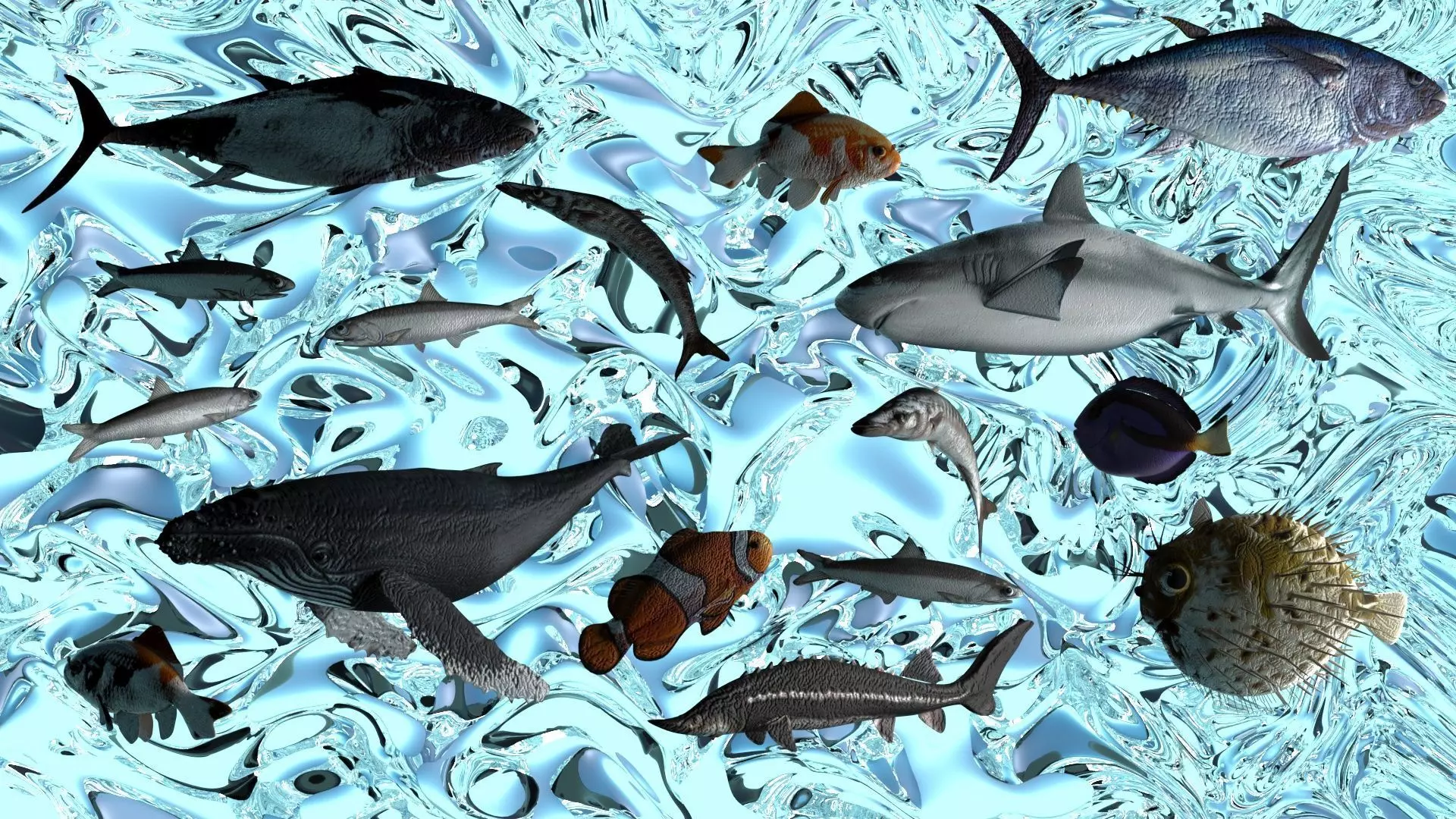 Water Animals In Water 3D model_0