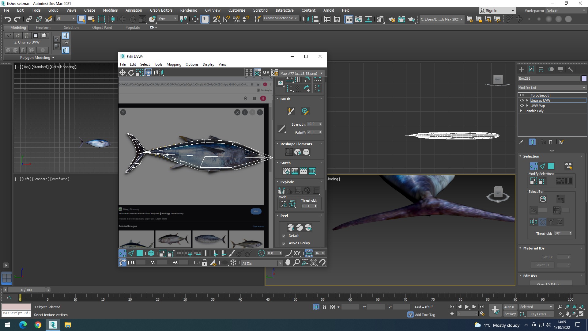 Water Animals In Water 3D model_61