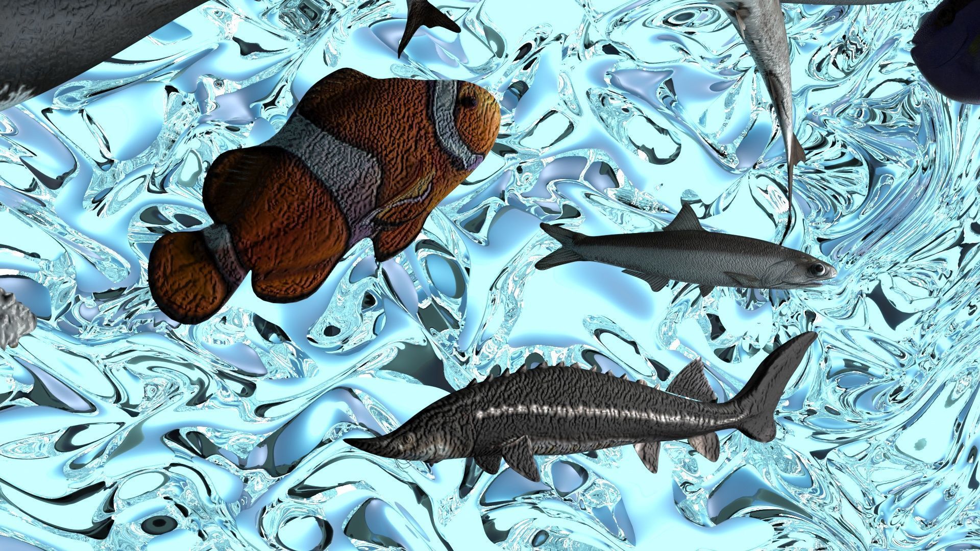 Water Animals In Water 3D model_2