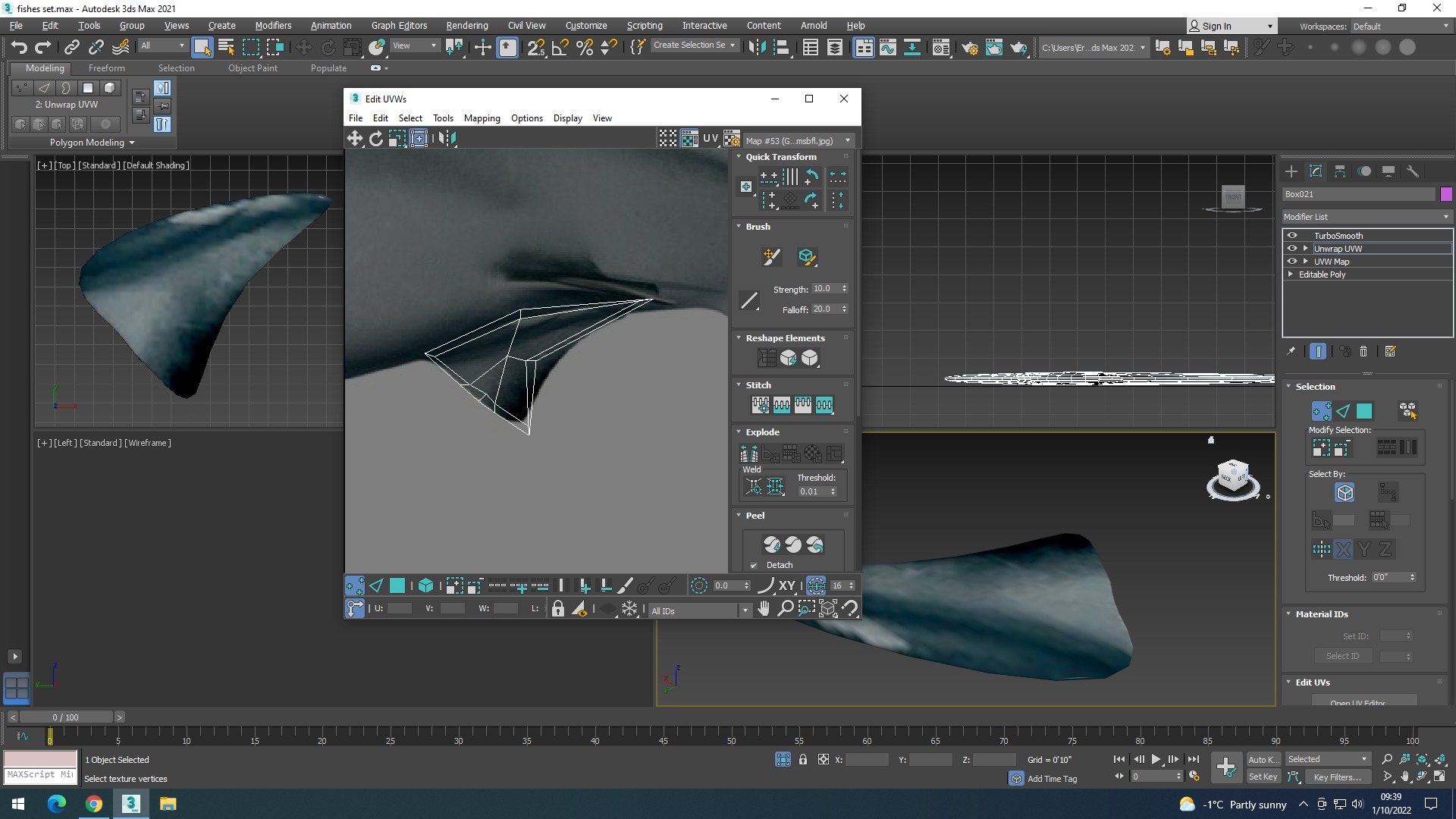 Water Animals In Water 3D model_37