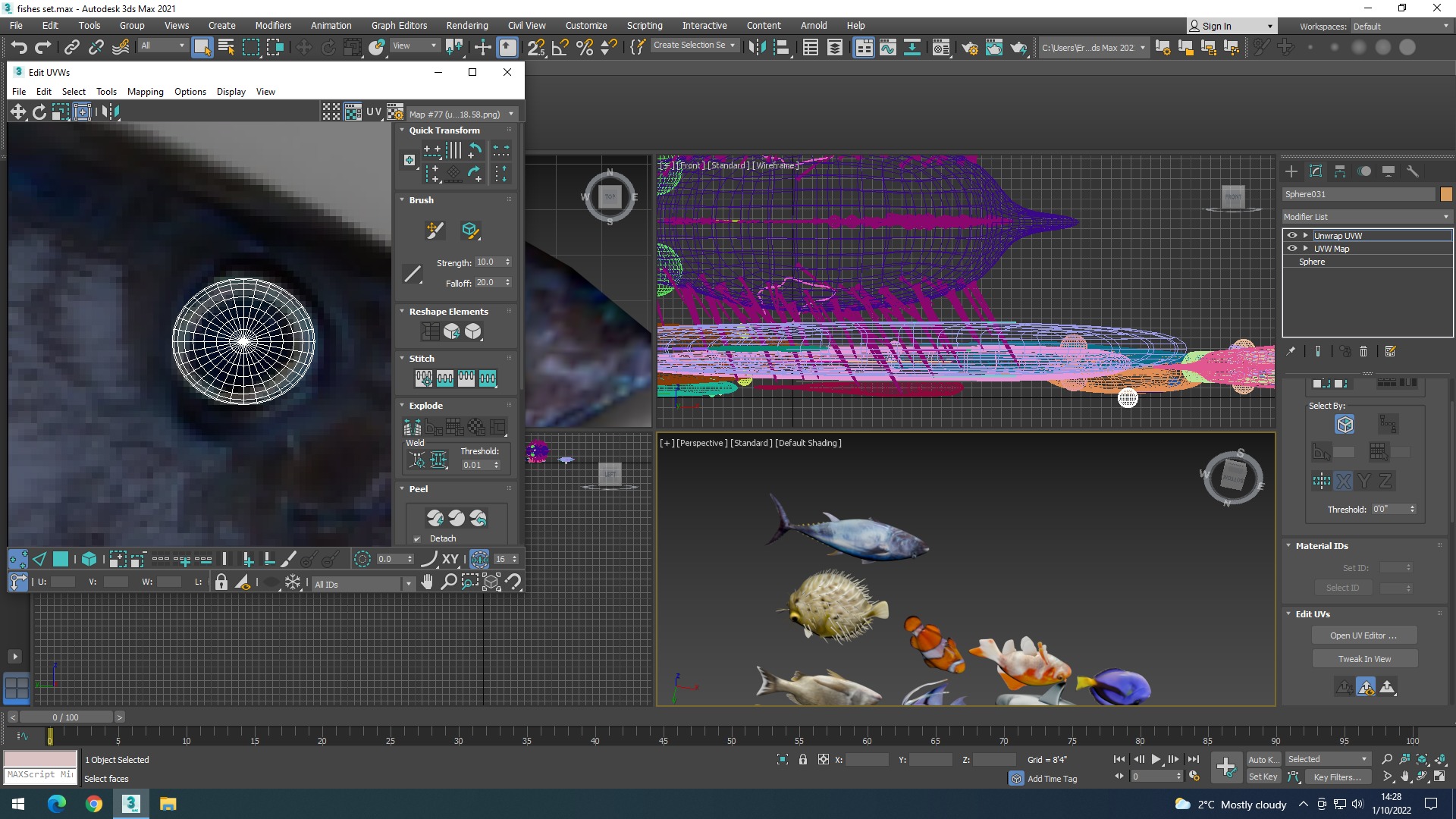 Water Animals In Water 3D model_65