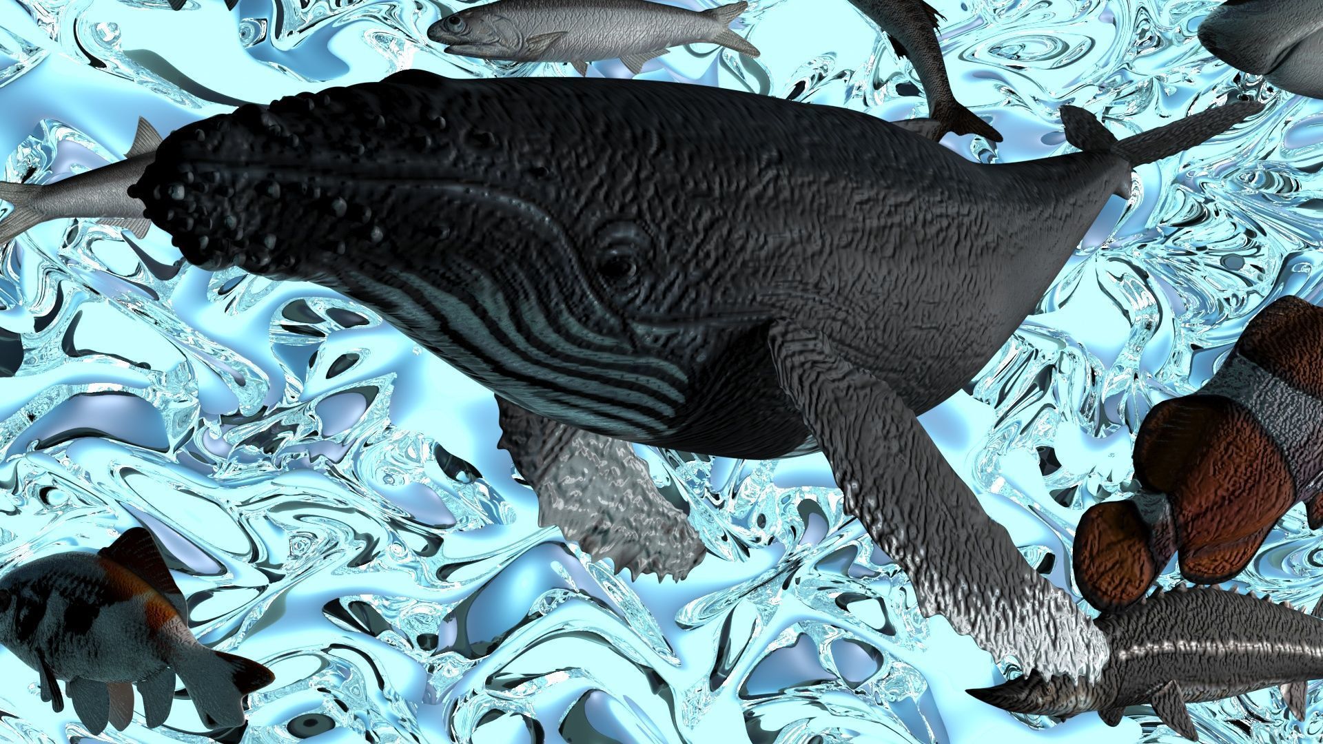 Water Animals In Water 3D model_3