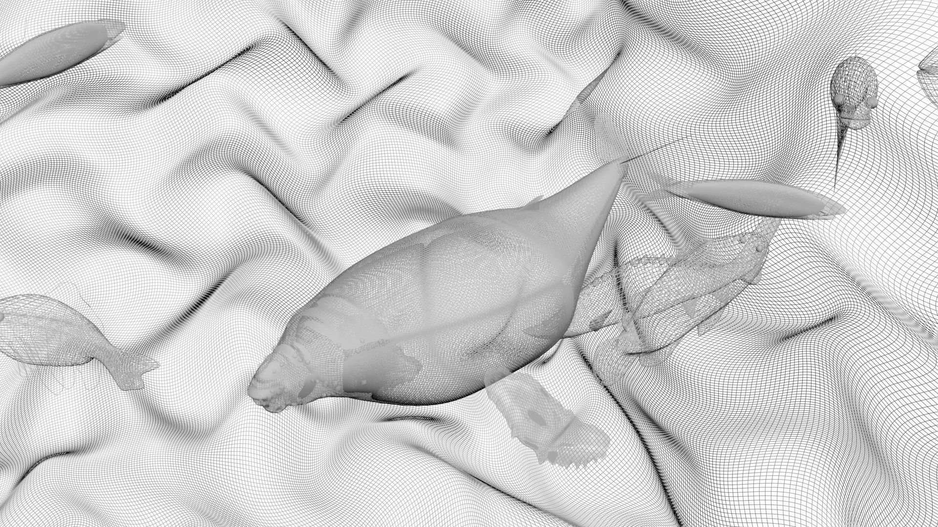 Water Animals In Water 3D model_16