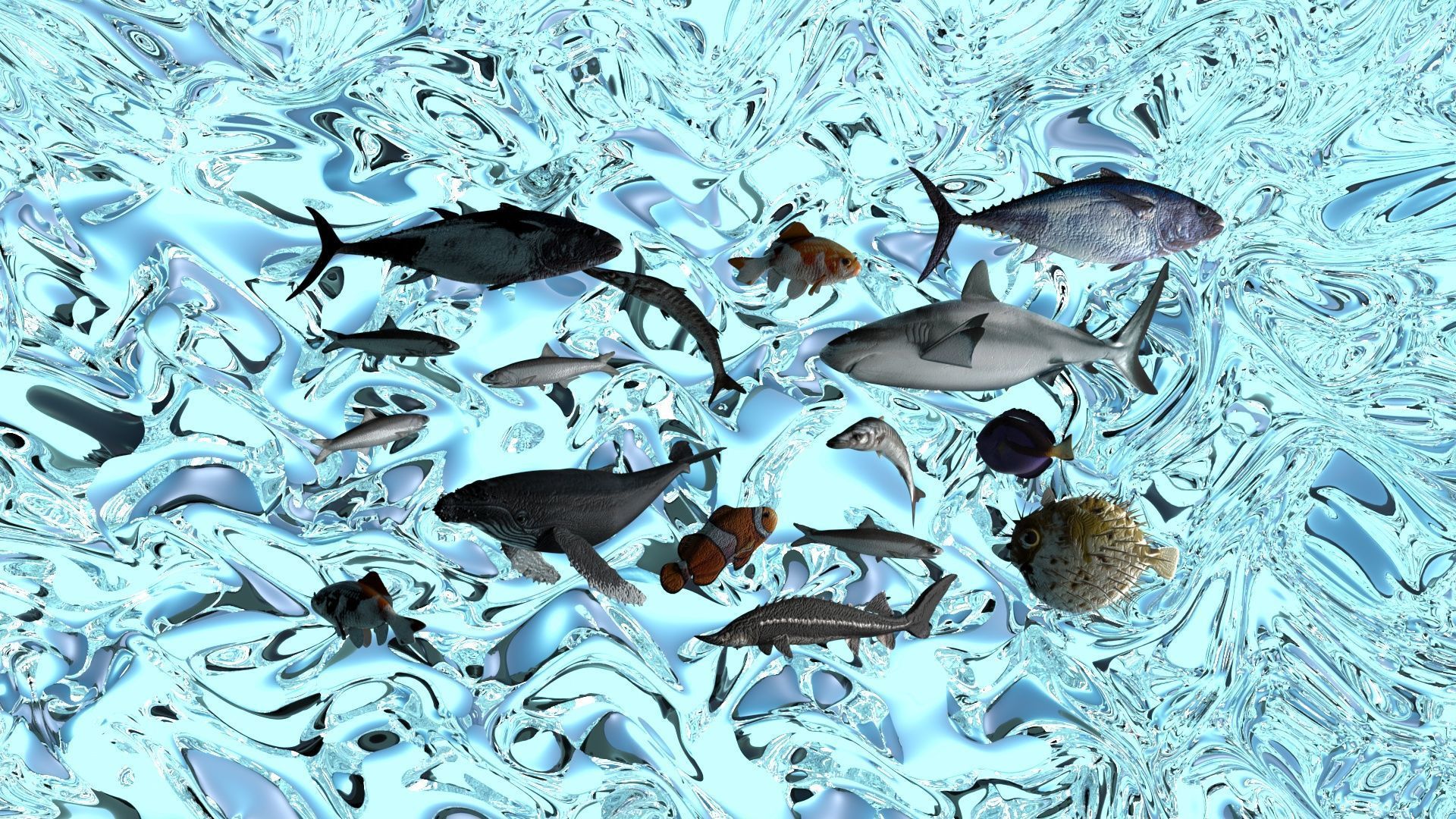 Water Animals In Water 3D model_1