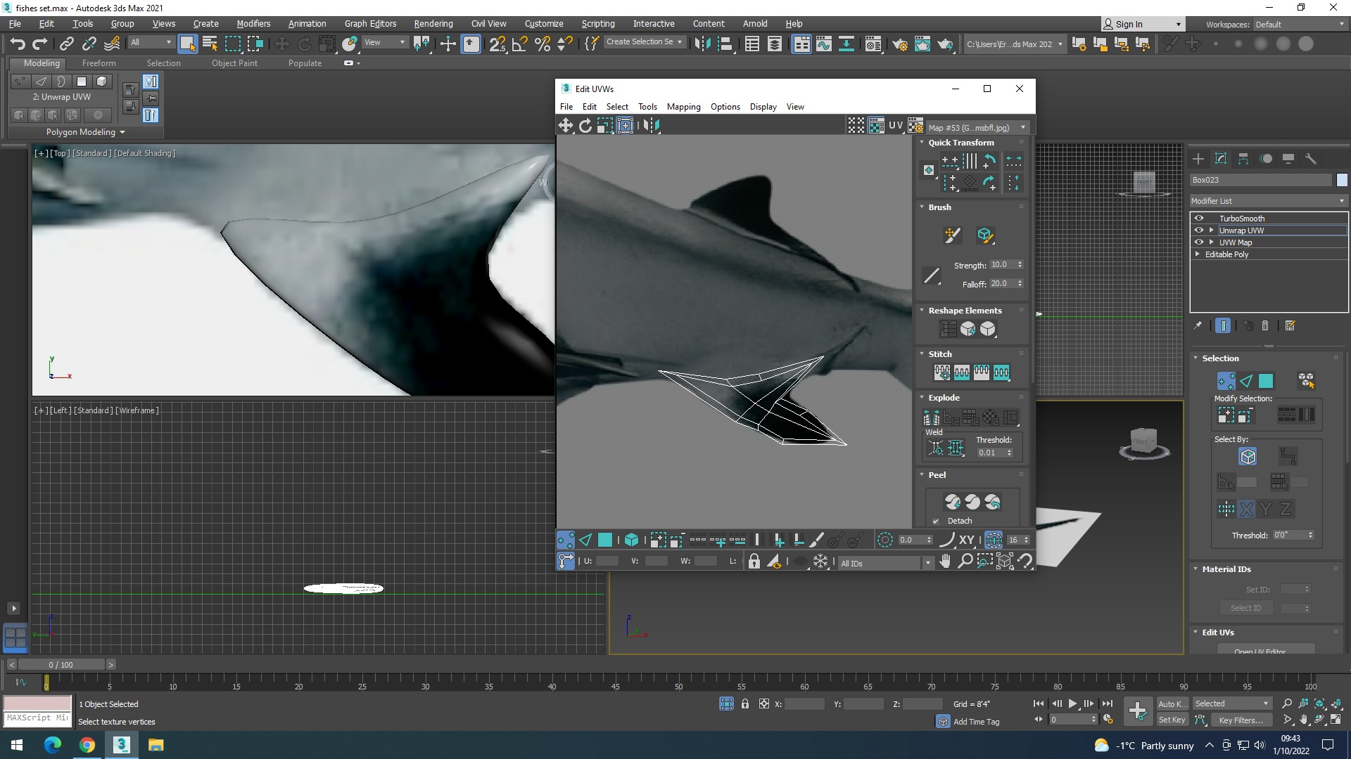 Water Animals In Water 3D model_32