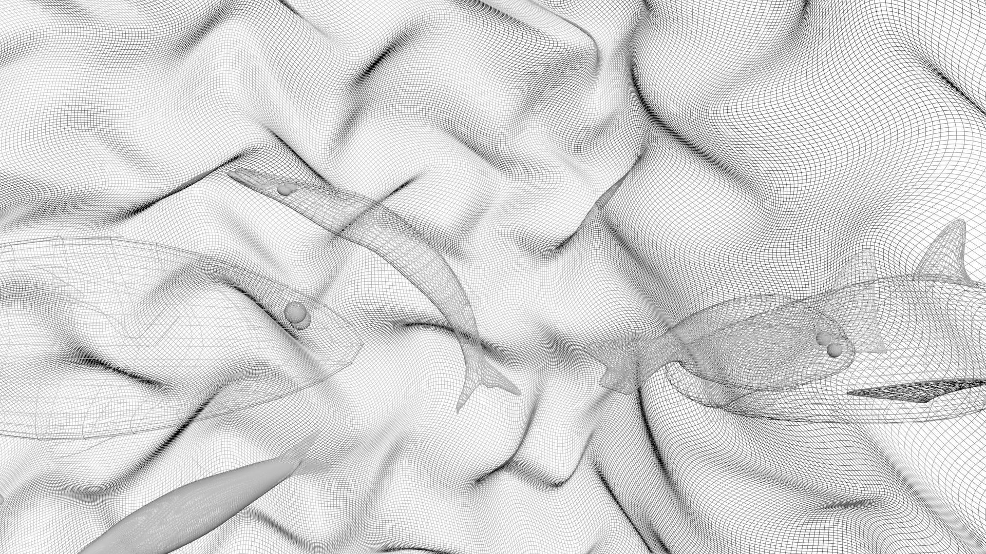 Water Animals In Water 3D model_14